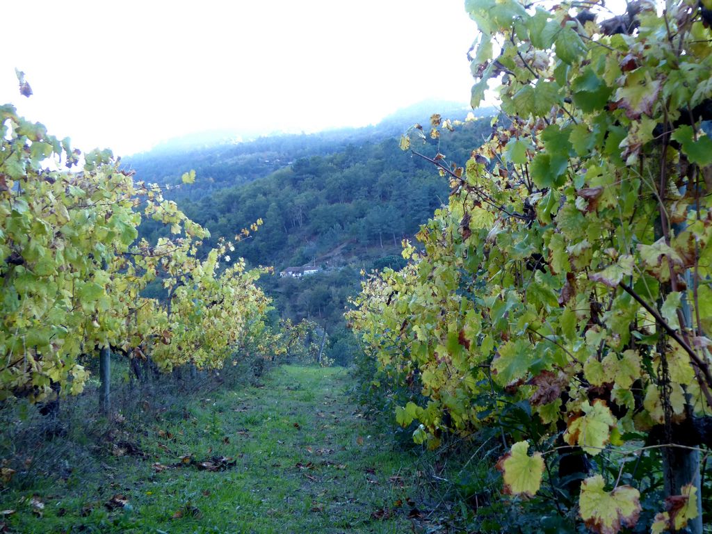 Farm